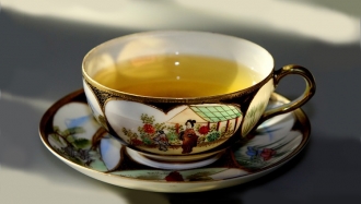 Identifying Jurisdictional Error Easy as Reading Tea Leaves?